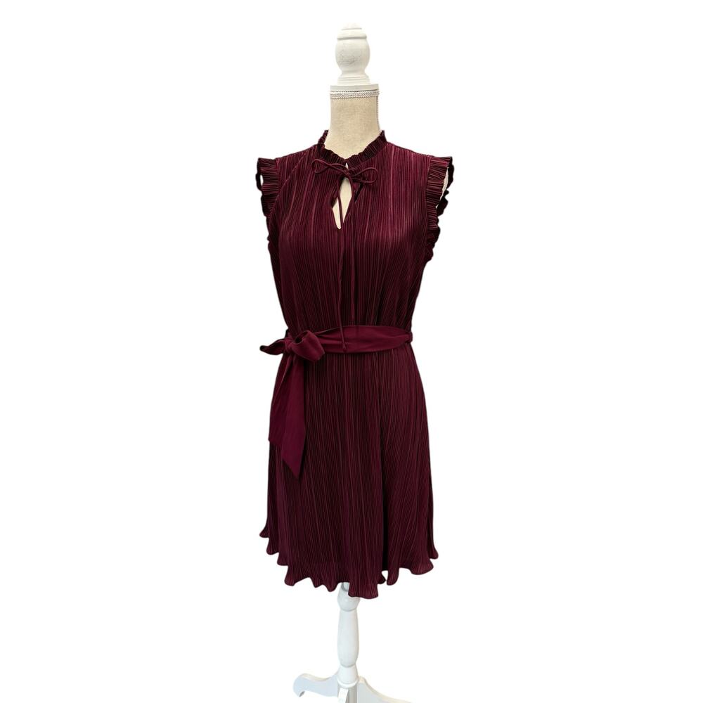 NWT!! DKNY‎ Sheer,Pleated Dress,Bow Belt,Whimsy,Fairy,Sexy,Dark Romantic,Size 8